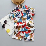 Costumas de vara pentru baietei - Colored leaves (Marime Disponibila: 18-24