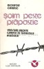 Soim peste prapastie - Nichifor Crainic, Roza Vanturilor, 1990, Roman