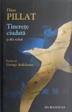 Tinerete ciudata si alte scrieri - Dinu Pillat - Roman