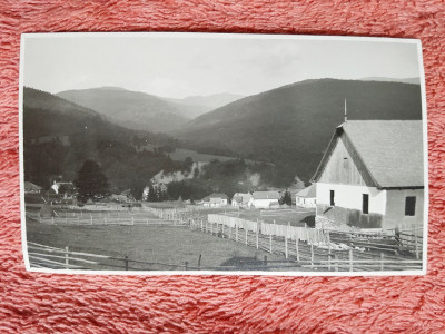 Fotografie peisaj Poiana Tapului, 1928 foto