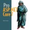 Pro ASP.NET Core 7