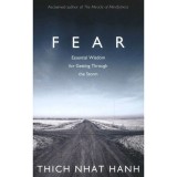 Fear - Essential Wisdom for Getting Through the Storm | Carte straina in engleza pentru copii Activity Books
