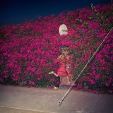 Pleasure | Feist, Rock, Polydor