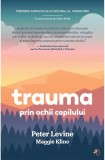 Trauma prin ochii copilului - Editura Pagina de psihologie