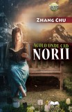 Acolo unde cad norii - Zhang Chu - Editura Ideea Europeană