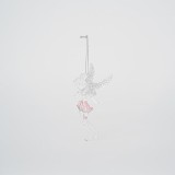 Set 2 ornamente brad Fairy Pink 14 cm