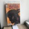 Bandă Desenată &icirc;n Rom&acirc;nă - The Walking Dead #12 (2015)