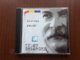 Tudor gheorghe mie-mi pasa 1999 cd disc muzica folk usoara folclor IMCD 1162 VG+