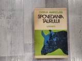 Spovedania taurului de Ciabua Amiredjibi