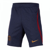 Pantaloni scurti Nike PSG Y NK DF STRK SHORT KZ