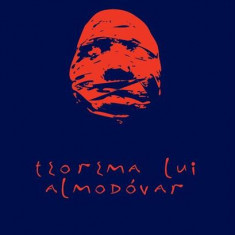 Teorema lui Almodóvar - Paperback brosat - Antoni Casas Ros - Vellant