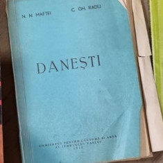 N. N. Matei, C. Gh. Radu - Danesti Monografie