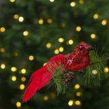Decorațiune de Crăciun - pasăre cu sclipici - roșu - 2 buc / pachet
