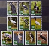 BC172, Sierra Leone 2020, serie fauna, pasari