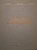 V. G. Eliseev - Atlas al structurii microscopice a tesuturilor si organelor (Editia: 1961)