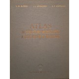 V. G. Eliseev - Atlas al structurii microscopice a tesuturilor si organelor (Editia: 1961)