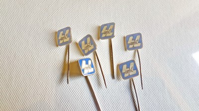 E118-Lot 6 insigne UMT Timisoara 1.3/1.3 cm. foto