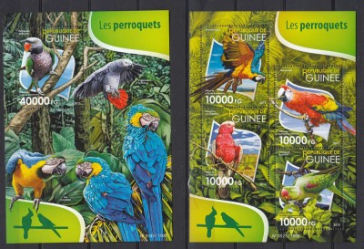 Guinea - Pasari - PAPAGALI - BL + KB - MNH foto