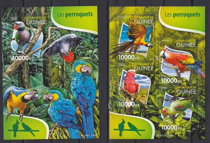 Guinea - Pasari - PAPAGALI - BL + KB - MNH