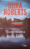 MOSTENIREA UNEI FIICE-NORA ROBERTS-270790
