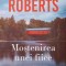 MOSTENIREA UNEI FIICE-NORA ROBERTS-270790
