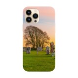Husa compatibila cu Apple iPhone 14 model Stonehenge, Silicon, TPU, Viceversa