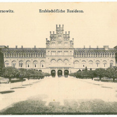 1168 - CERNAUTI, Bucovina - old postcard - unused