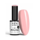 NTN Premium Soft Touch Collection HEMA/Di-HEMA Free 5g, no. 02