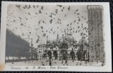 Carte Postala, Venezia, S. Marco, Volo Piccioni, perioada interbelica