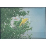 PARAGUAY 2015 PASARI PAPAGALI