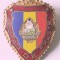 INSIGNA MILITAR DE FRUNTE RSR VARIANTA MARE 39.97/32,1 CU STEMA MICA 16/13,3 MM USOR BOMBATA ARMATA MINISTERUL APARARII MFA MApN ( CITITI DESCRIEREA )