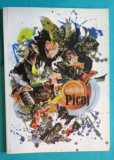 Ioana Miron &ndash; Picaj