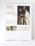 Privire de ansamblu asupra Noului Testament &ndash; Merrill C. Tenney