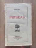 Pribeag Vasile Savel Anul 1920