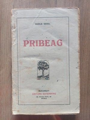 Pribeag Vasile Savel Anul 1920 foto
