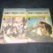 RADU TUDORAN - TOATE PANZELE SUS 2 VOL BPTC
