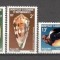 Noua Caledonie.1981 Fauna marina-Moluste SN.204