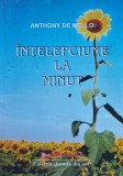 Cumpara ieftin Carte Intelepciune la minut - Anthony de Mello - 2004 - Editura Mix - Brosata - 286 pagini - Romana