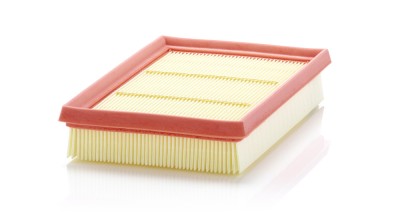 MANN-FILTER C 24 076 Filtru aer foto