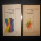 Gh. Ghita, C. Fierascu - Dictionar de terminologie literara 2 volume