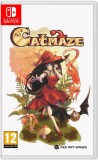 Catmaze NSW