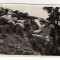 MUNTII GIURGEULUI CU OILE PE SUHARDUL MIC CHEILE BICAZULUI FOTO SANTHA NR 101