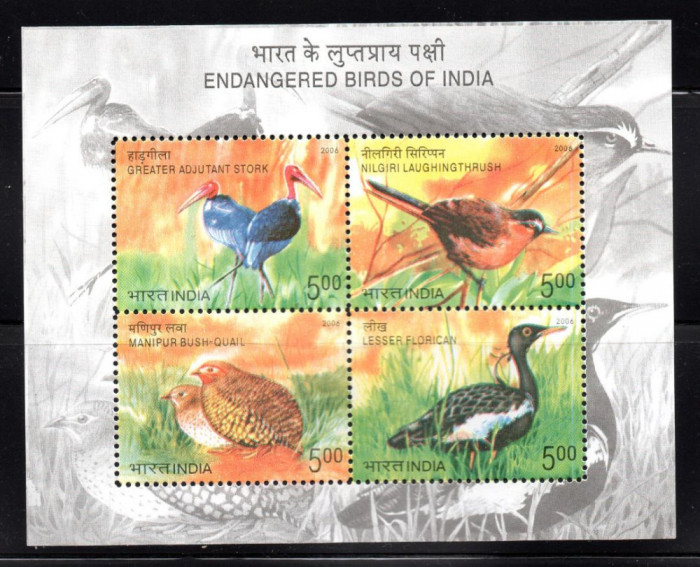 INDIA 2006, Fauna, Pasari, serie neuzata, MNH