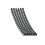 Febi Bilstein Curea transmisie cu caneluri