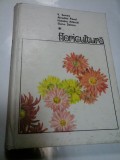 FLORICULTURA - V. SONEA, AFRODITA PAVEL