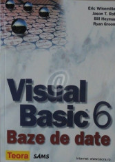 Visual Basic 6. Baze de date foto