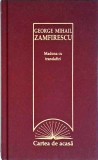 George Mihail Zamfirescu - Madona cu trandafiri