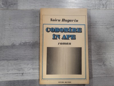 Coborare in ape de Voicu Bugariu foto