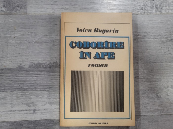 Coborare in ape de Voicu Bugariu