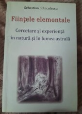 RARA Fiintele elementale.Cercetare si experienta in natura si in lumea astrala foto